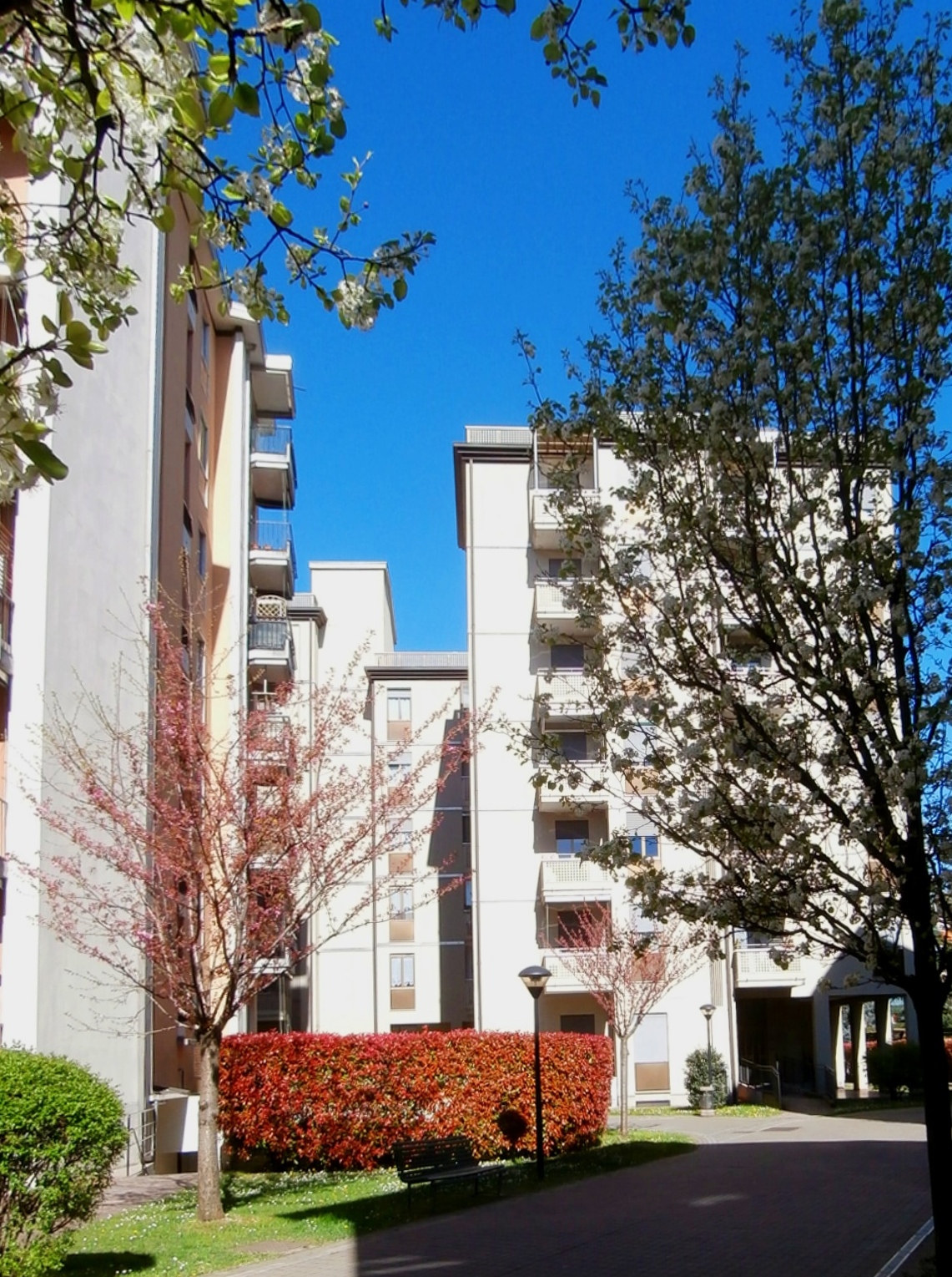 Edificio quartiere Quartiere La benefica, gruppo di palazzine chiare con giardino e alberi intorno.