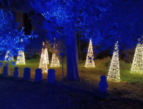 CHIUSURE PER LE FESTIVITA’ NATALIZIE